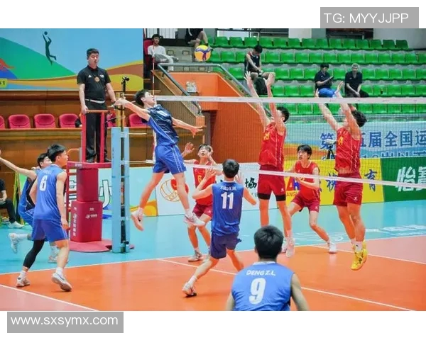 重庆排球队荣登全国排球技术排行榜第一名引发热议