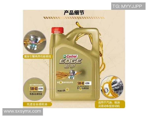 全面解析汽车保养要点与注意事项确保爱车长久健康运行