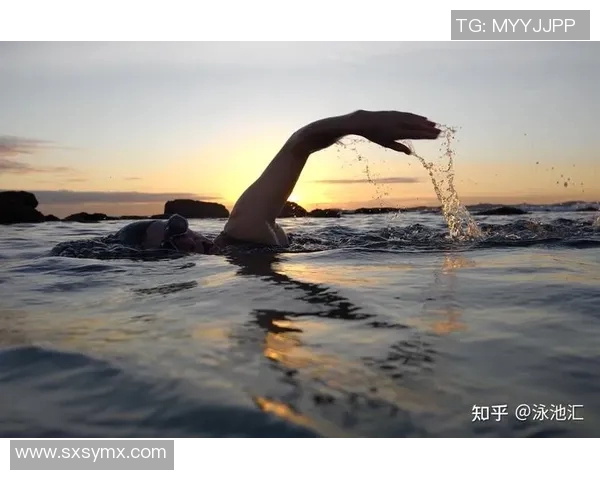 自由泳呼吸技巧解析及优化方法提升游泳效率和持久性