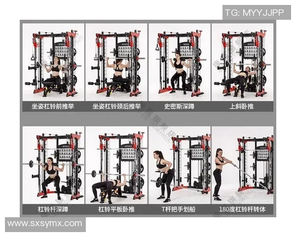 飞鸟健身器材好吗？品牌优势与用户口碑全解析